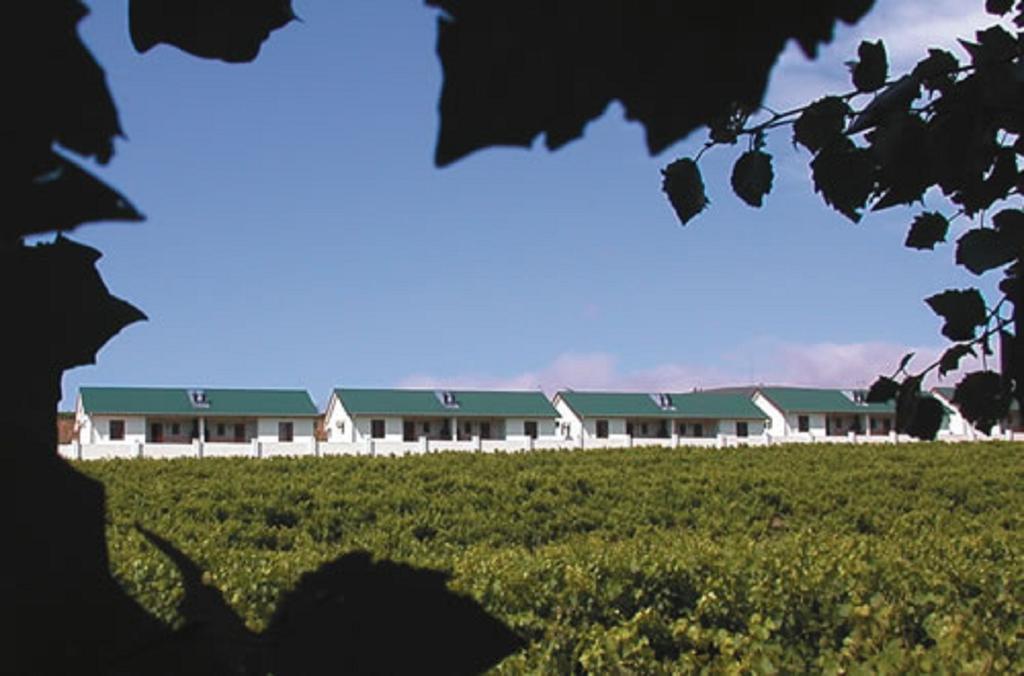 D'Aria Guest Cottages Durbanville Eksteriør billede